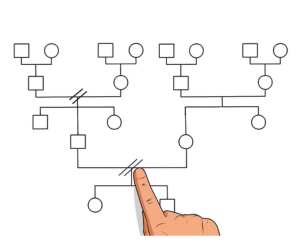La carte familiale systémique : un outil pour explorer les dynamiques transgénérationnelles